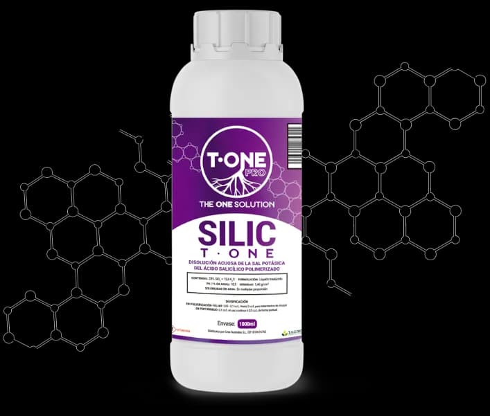 Silicon